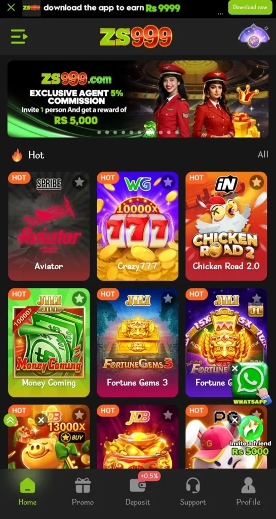 ZS999 Game